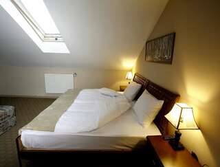 Отель Abu Hotel Гудаури Двухместный номер с 1 кроватью - Мансарда-8